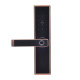 Замок биометрический автономный Trinix TRL-5109BTF Red Bronze Left с Bluetooth, считывателем отпечатков пальцев и карт Mifare