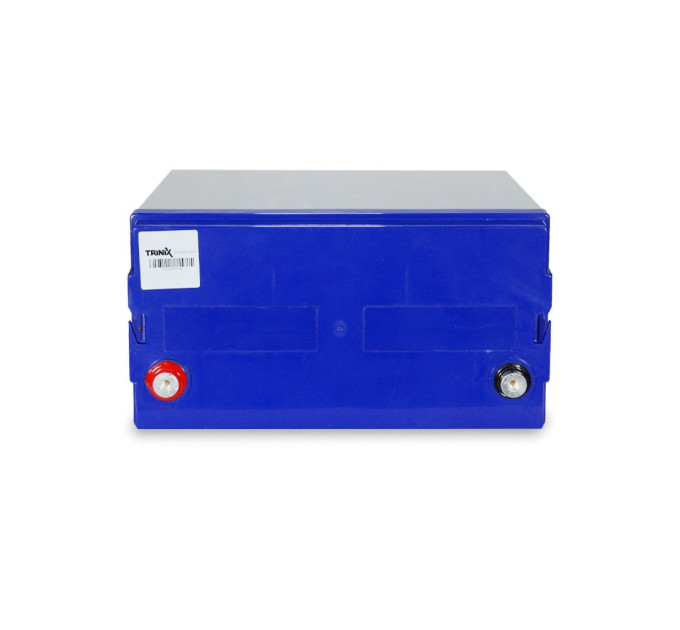 Trinix 12V100Ah/20Hr AGM Аккумуляторная батарея 12В 100Аг свинцово-кислотная