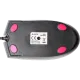 A4Tech OP-550NU USB Black Мышь
