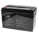 Ritar LFP12.8V100AH Аккумуляторная батарея с bluetooth