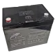 Ritar LFP12.8V100AHG24 Аккумуляторная батарея с bluetooth