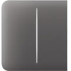Ajax SideButton (2-gang) [55] grey Кнопка