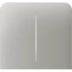 Ajax SideButton (2-gang) vertical [55] ASP oyster Кнопка