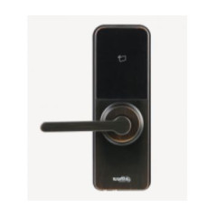 DHI-ASL2101K-L Smart замок