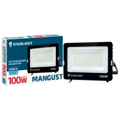 ENERLIGHT MANGUST Прожектор светодиодный 100Вт 6500K