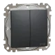 Schneider Electric Sedna Design & Elements SDD214105 Двоклавішний вимикач