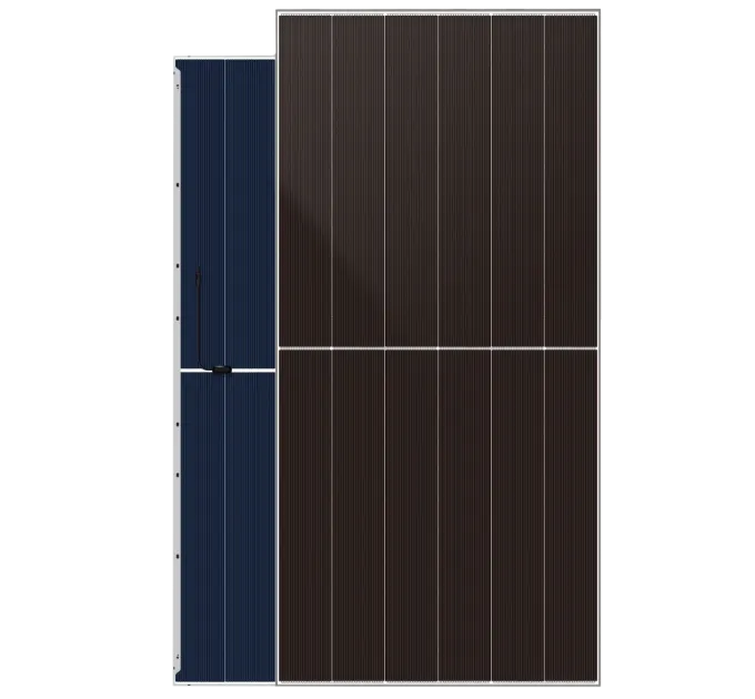 DAHsolar DHN-66Z20/DG-650W Сонячна панель
