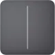 Ajax SoloButton (2-gang) [55] graphite кнопка Кнопка двоклавішного вимикача