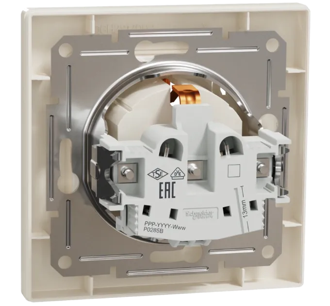 Schneider Electric Asfora EPH3100123 Розетка із кришкою, із заземленням