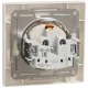 Schneider Electric Asfora EPH3100123 Розетка із кришкою, із заземленням