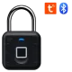 Via Security VL-1F/TB со считывателем отпечатка пальца Замок навесной