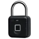 Via Security VL-1F/TB зі зчитувачем відбитка пальцю Замок навісний