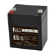 Full Energy FEP-124 4А•г 12В Свинцево-кислотна акумуляторна батарея